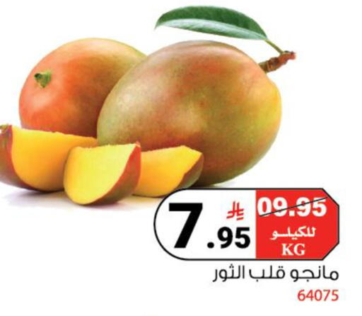 available at House Care in KSA, Saudi Arabia, Saudi - Mecca