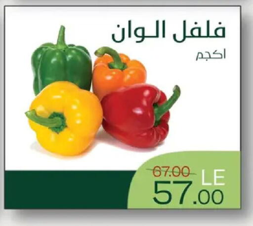 available at رويال هاوس in Egypt - القاهرة