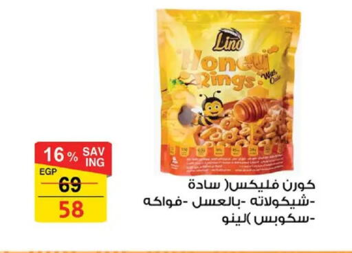 available at فتح الله in Egypt - القاهرة