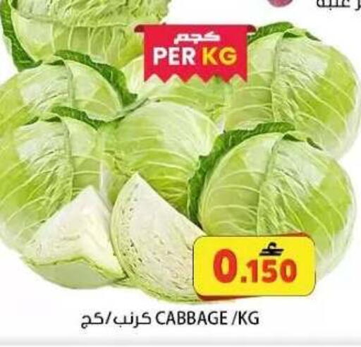 Cabbage available at Grand Hyper Market  in Oman - Muscat