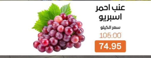 available at بيت الجملة in Egypt - القاهرة