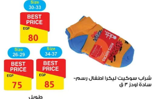 available at فتح الله in Egypt - القاهرة