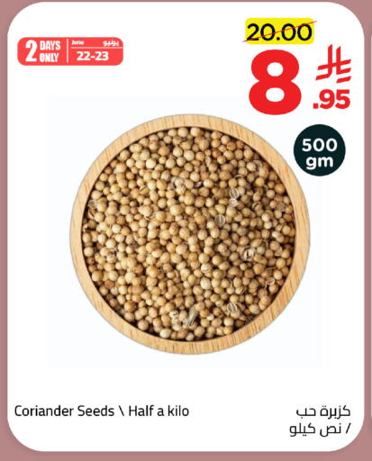 Coriander available at وهج مارت in مملكة العربية السعودية, السعودية, سعودية - جدة