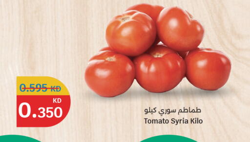 Tomato from Syria available at City Hypermarket in Kuwait - Kuwait City