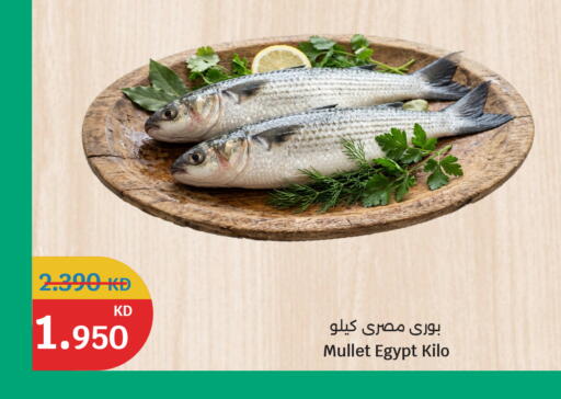 available at City Hypermarket in Kuwait - Kuwait City