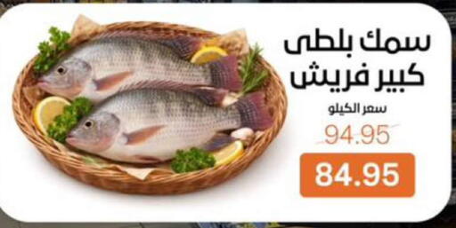 available at بيت الجملة in Egypt - القاهرة