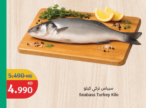 available at City Hypermarket in Kuwait - Kuwait City
