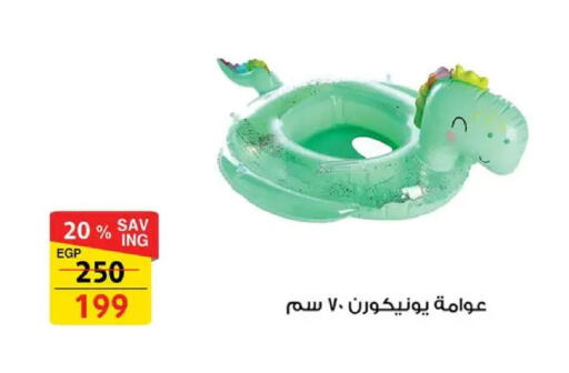 available at Fathalla Market  in Egypt - Cairo