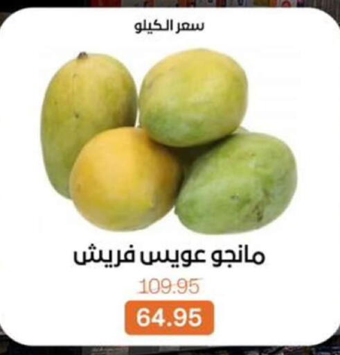 available at بيت الجملة in Egypt - القاهرة