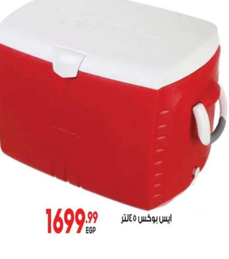 available at El mhallawy Sons in Egypt - Cairo