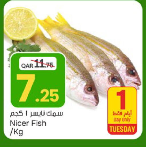 available at باريس هايبرماركت in قطر - الريان