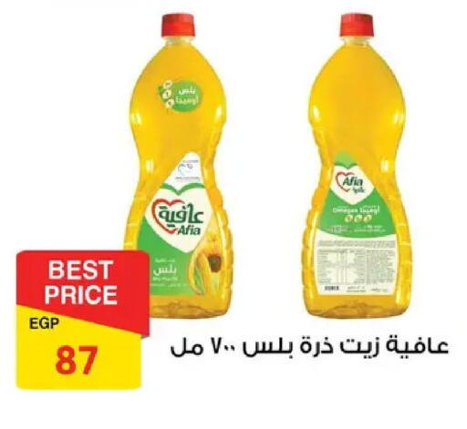 available at فتح الله in Egypt - القاهرة