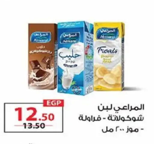 available at زهران ماركت in Egypt - القاهرة