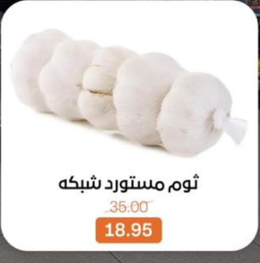 available at بيت الجملة in Egypt - القاهرة