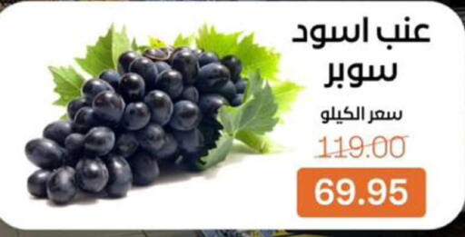 available at بيت الجملة in Egypt - القاهرة