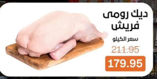 available at بيت الجملة in Egypt - القاهرة