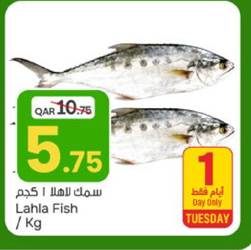 available at باريس هايبرماركت in قطر - الريان