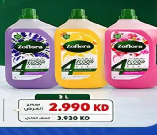 available at Hateen Co-Op Society in Kuwait - Kuwait City