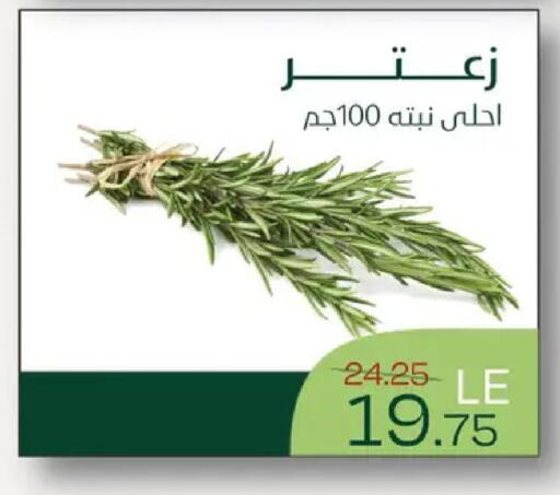 available at رويال هاوس in Egypt - القاهرة