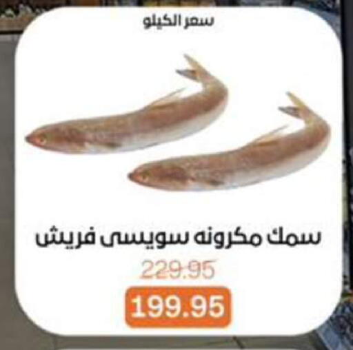 available at بيت الجملة in Egypt - القاهرة