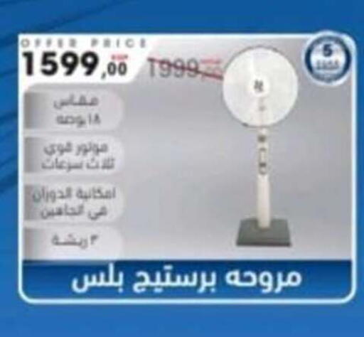 available at El mhallawy Sons in Egypt - Cairo