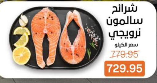 available at بيت الجملة in Egypt - القاهرة