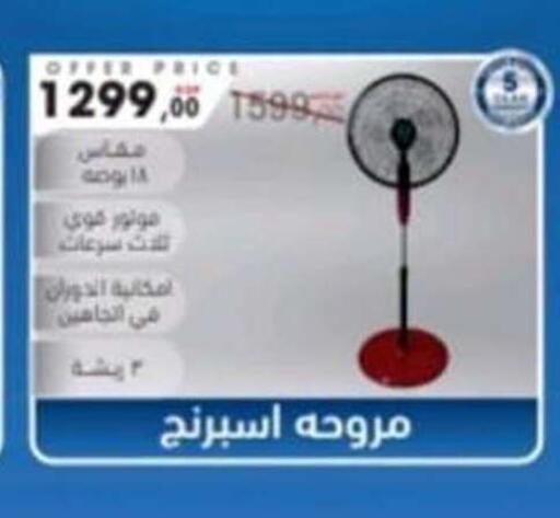 available at El mhallawy Sons in Egypt - Cairo