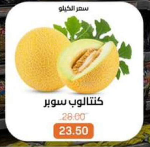 available at بيت الجملة in Egypt - القاهرة
