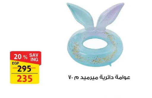 available at Fathalla Market  in Egypt - Cairo
