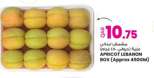 Apricot from Lebanon available at أنصار جاليري in قطر - الدوحة
