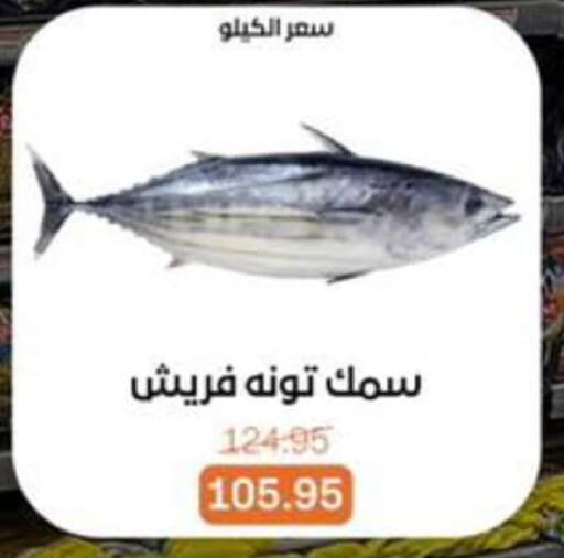 available at بيت الجملة in Egypt - القاهرة