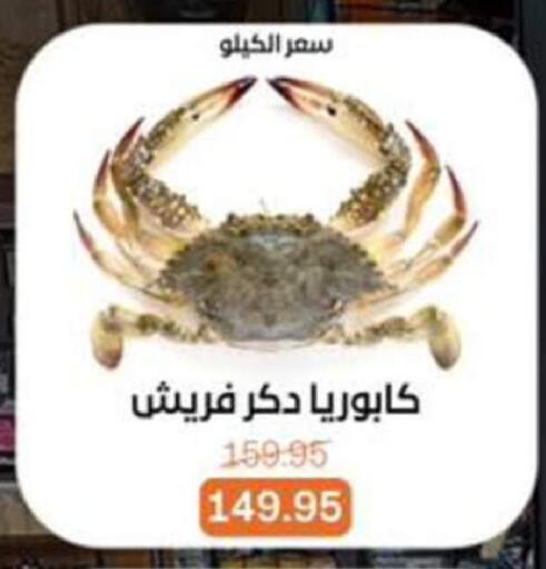 available at بيت الجملة in Egypt - القاهرة
