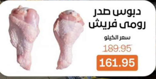available at بيت الجملة in Egypt - القاهرة