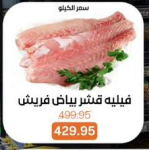 available at بيت الجملة in Egypt - القاهرة