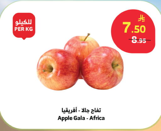 Apple available at Al Raya in KSA, Saudi Arabia, Saudi - Abha