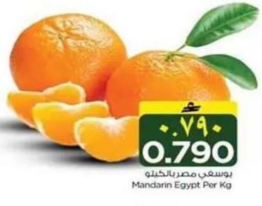 Mandarin from Egypt available at نستو هايبر ماركت in عُمان - صلالة