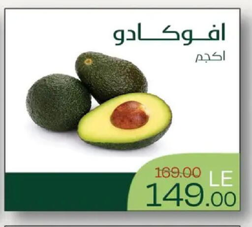 available at رويال هاوس in Egypt - القاهرة