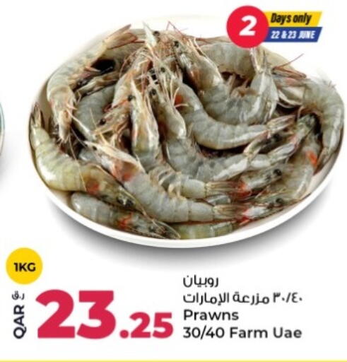 available at روابي هايبرماركت in قطر - الشمال