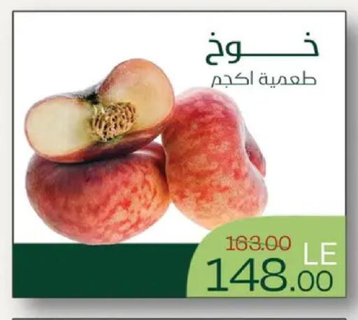 available at رويال هاوس in Egypt - القاهرة