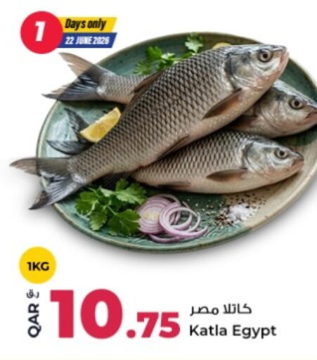 available at روابي هايبرماركت in قطر - الشمال