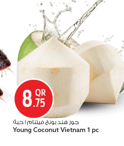 Coconut from Vietnam available at سفاري هايبر ماركت in قطر - الضعاين