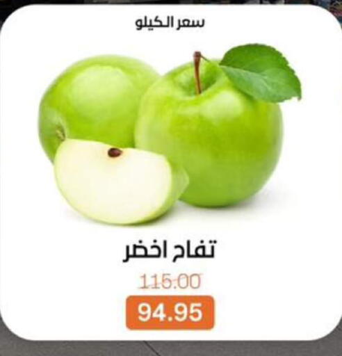 available at بيت الجملة in Egypt - القاهرة