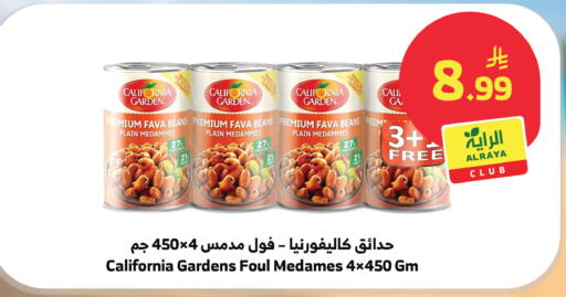 available at الراية in مملكة العربية السعودية, السعودية, سعودية - الطائف