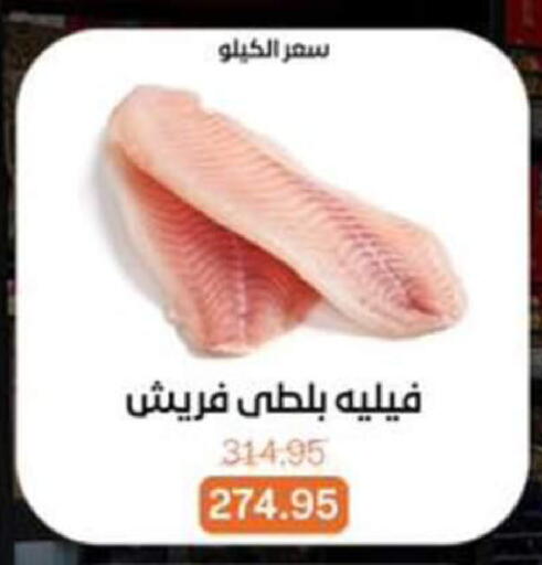 available at بيت الجملة in Egypt - القاهرة