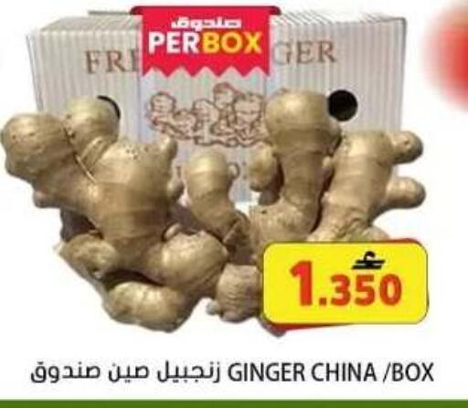 Ginger from China available at Grand Hyper Market  in Oman - Muscat