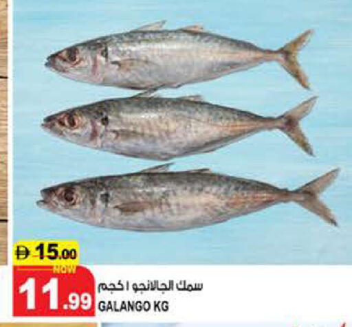 available at هاشم هايبرماركت in الإمارات العربية المتحدة , الامارات - الشارقة / عجمان