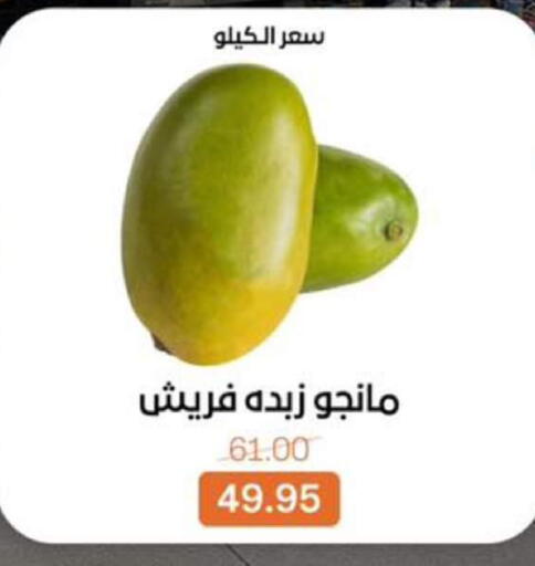 available at بيت الجملة in Egypt - القاهرة