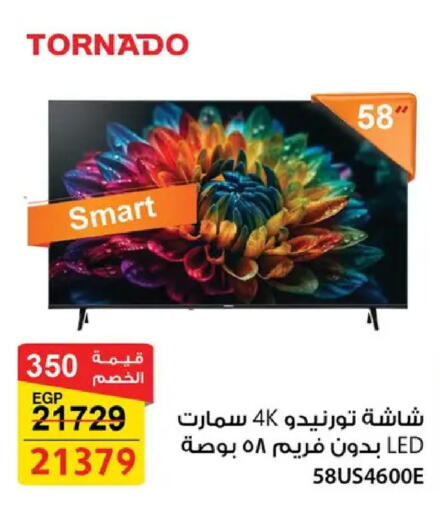 available at فتح الله in Egypt - القاهرة