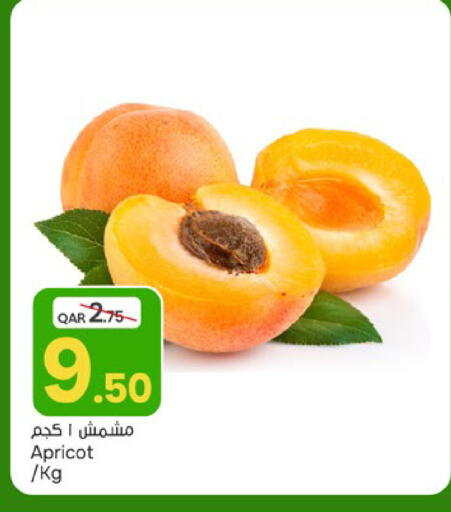 Apricot available at باريس هايبرماركت in قطر - الشحانية
