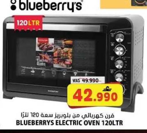 Blueberry BlueBerry available at جراند هايبر ماركت in عُمان - صلالة